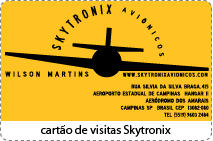 logo_skytronix